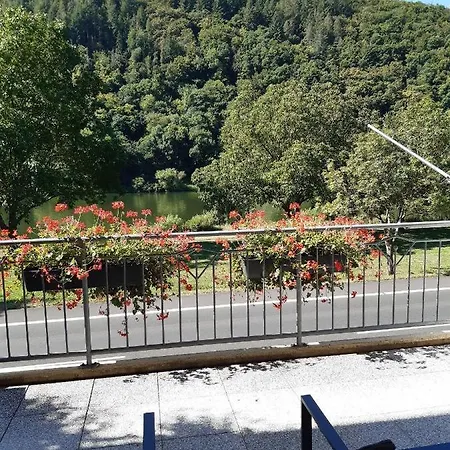 Haus-moselliebe-2p-mit-balkon-und-moselblick 公寓 *