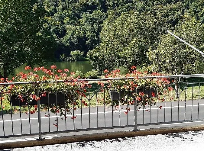 Haus-moselliebe-2p-mit-balkon-und-moselblick Appartement *